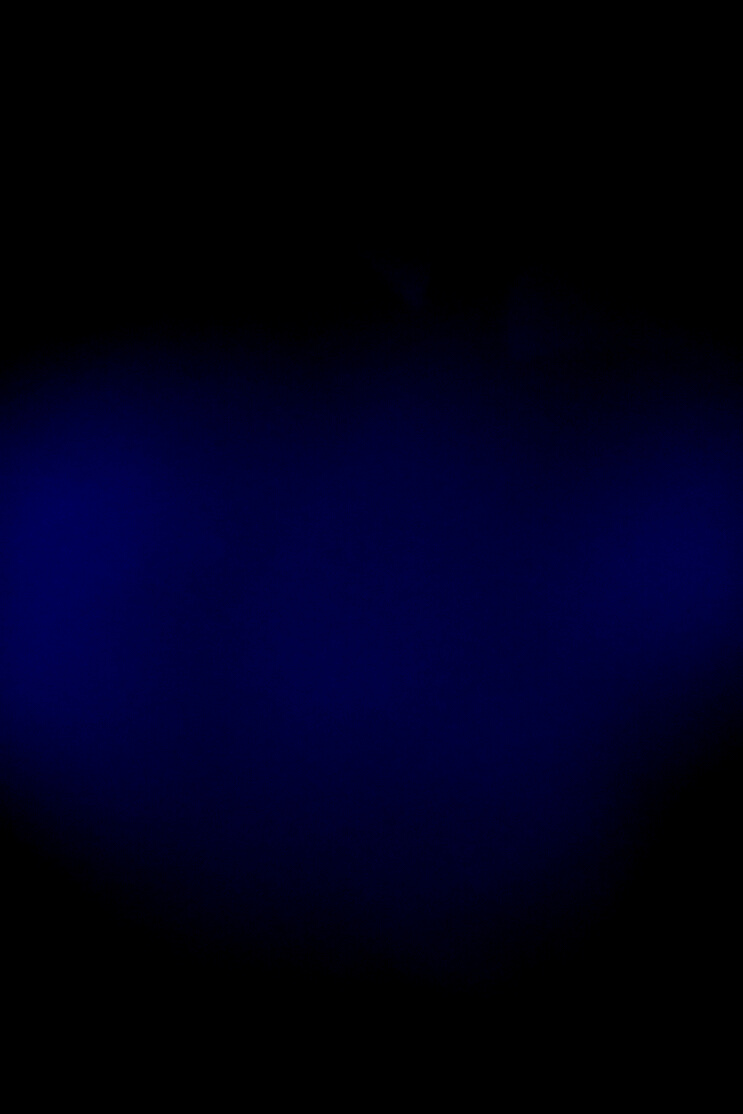 A Clear Blue Night Sky 